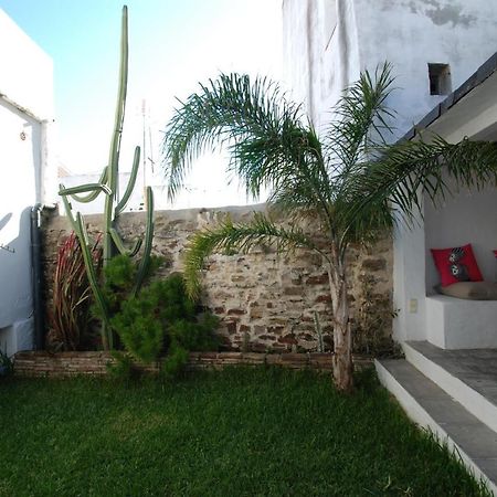 Koala Tarifa Exterior foto